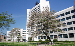 南京郵電大學 - 我的大學