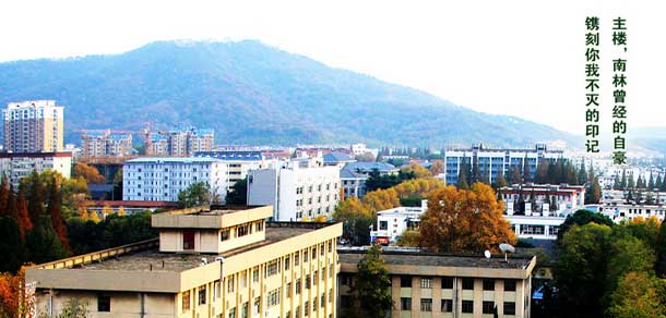 南京林業(yè)大學(xué) - 最美院校