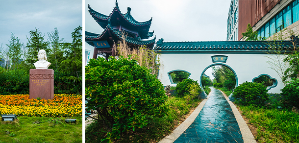 我的大學(xué)-大學(xué)志