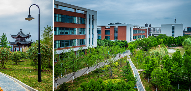 我的大學(xué)-大學(xué)志