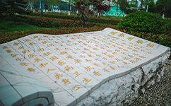 歷史沿革(概)校史