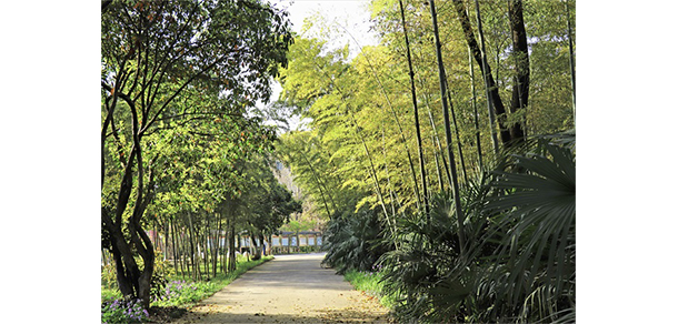 南京財經(jīng)大學(xué)紅山學(xué)院