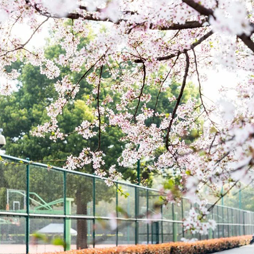 浙江大學-流金歲月