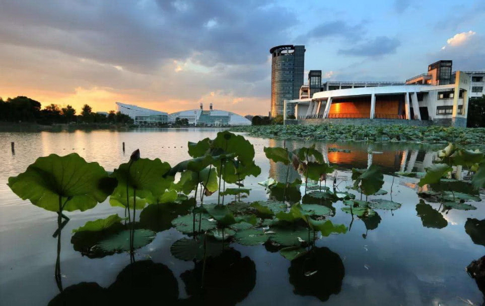 浙江大學(xué) 早安青春