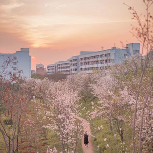 我的大學