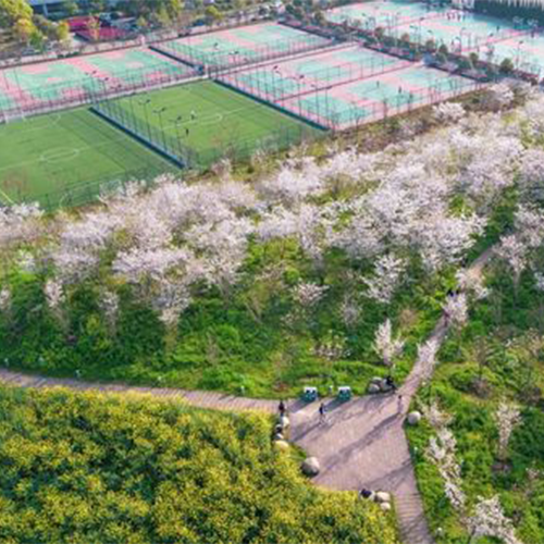 杭州師范大學-流金歲月