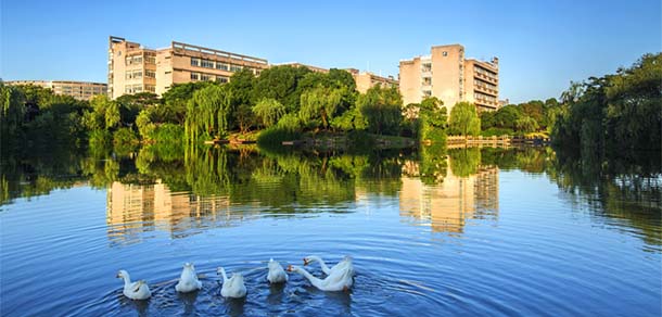 浙江財經(jīng)大學(xué) - 最美院校