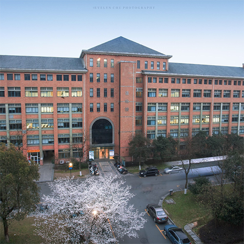 最美大學
