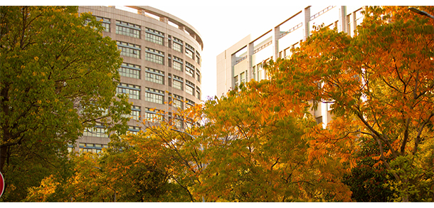 杭州師范大學(xué)錢(qián)江學(xué)院 - 最美大學(xué)