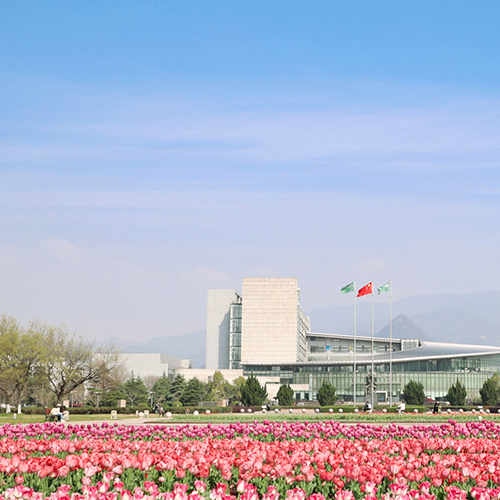 我的大學(xué)