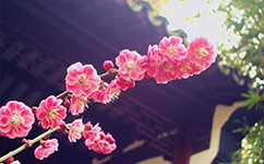 浙江長(zhǎng)征職業(yè)技術(shù)學(xué)院 - 我的大學(xué)