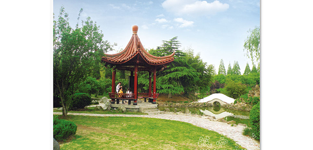 皖西學院 - 最美大學