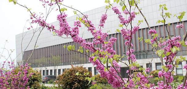 我的大學(xué)-大學(xué)志