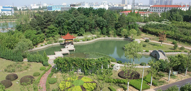 我的大學(xué)-大學(xué)志