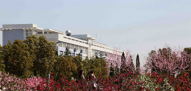 我的大學-大學志