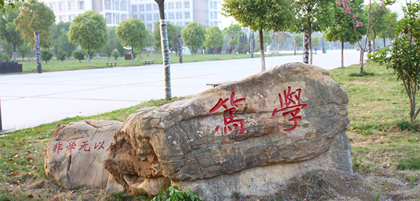 我的大學-大學志