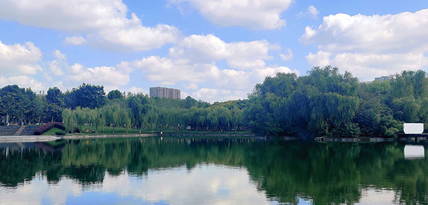 我的大學(xué)-大學(xué)志