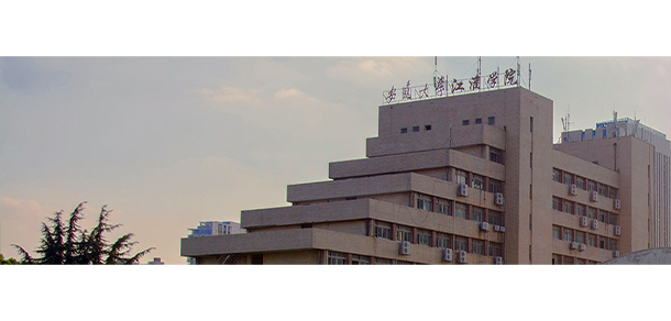 合肥理工學院