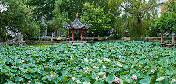 合肥理工學院 - 最美院校