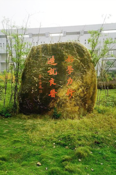 安徽醫(yī)科大學臨床醫(yī)學院