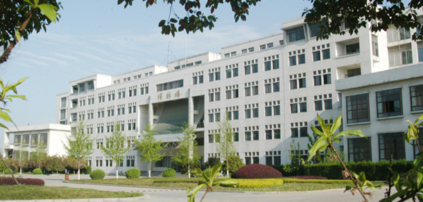 我的大學(xué)-大學(xué)志