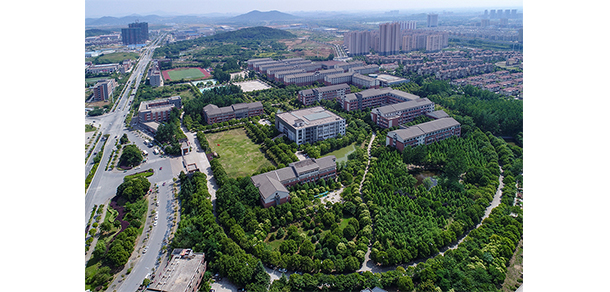 我的大學(xué)-大學(xué)志