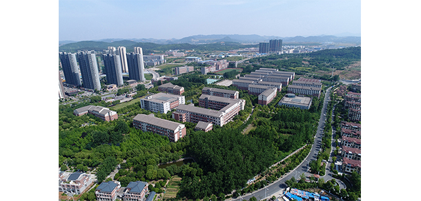 我的大學(xué)-大學(xué)志