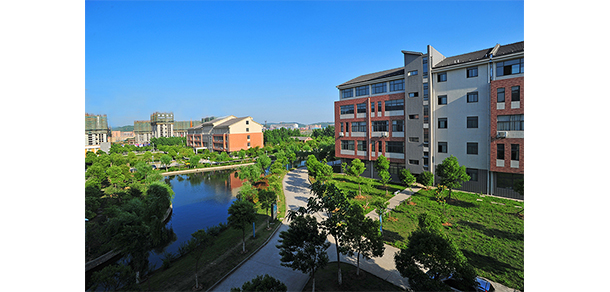 我的大學(xué)-大學(xué)志