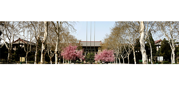 安徽農(nóng)業(yè)大學(xué) - 最美大學(xué)