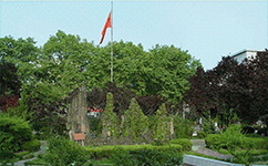 安徽藝術職業(yè)學院 - 我的大學