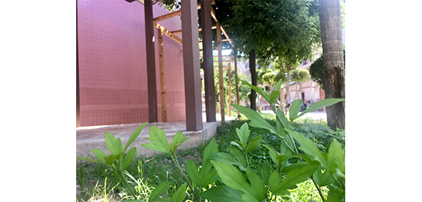 福州科技職業(yè)技術(shù)學院 - 最美院校