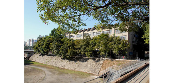 福建幼兒師范高等?？茖W校 - 最美大學