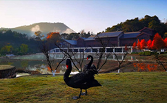 和君職業(yè)學院 - 我的大學