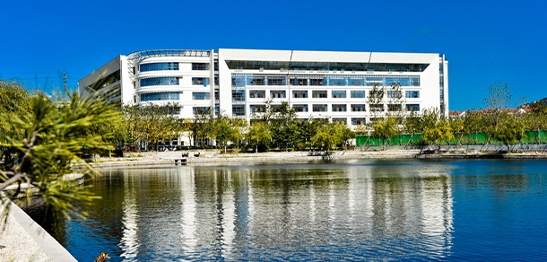我的大學-大學志
