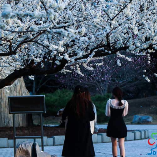 山東理工大學(xué)-最美校園