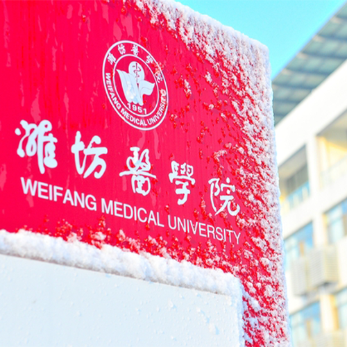 大學(xué)志