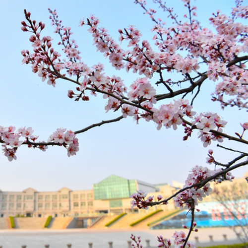 最美校園