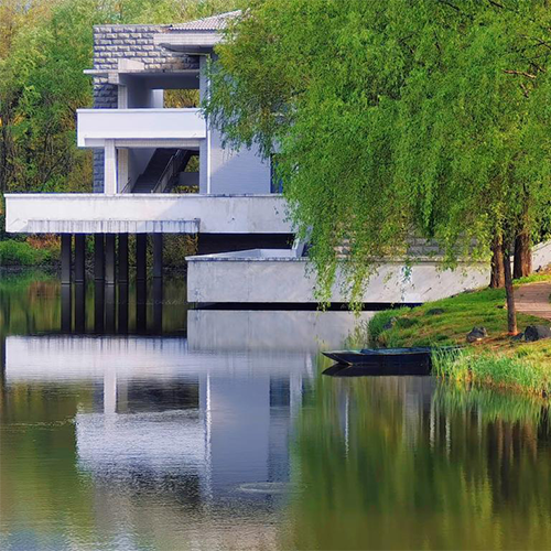 我的大學(xué)
