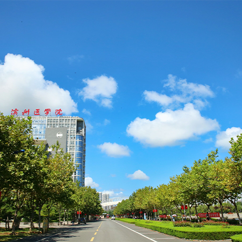 我的大學(xué)