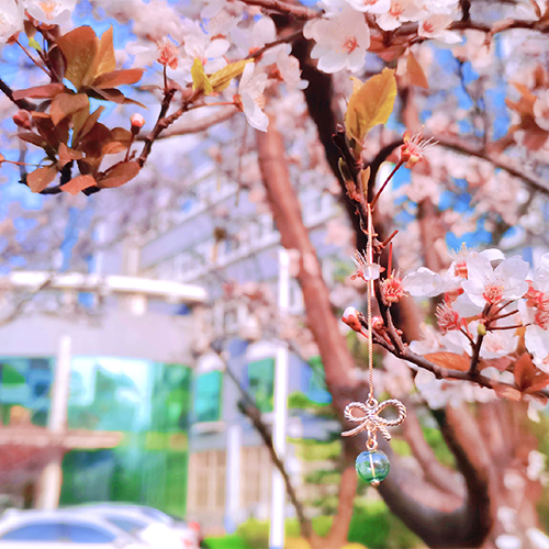 大學簡介