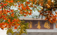 歷史沿革(概)校史