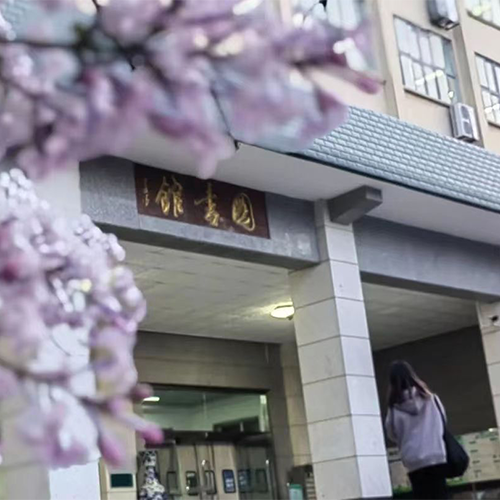我的大學(xué)