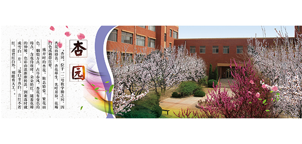 我的大學-大學志