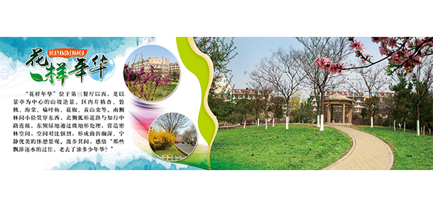 我的大學-大學志