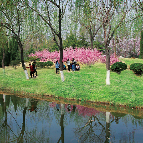 我的大學(xué)