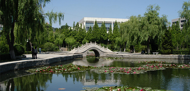 我的大學(xué)-大學(xué)志
