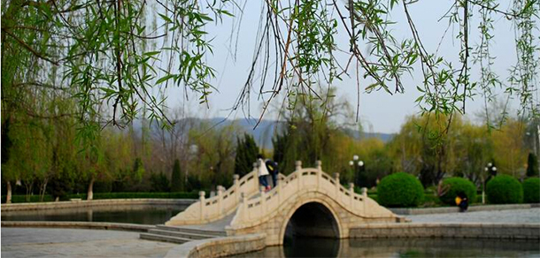 我的大學(xué)-大學(xué)志