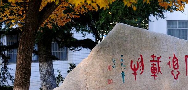 我的大學(xué)-大學(xué)志