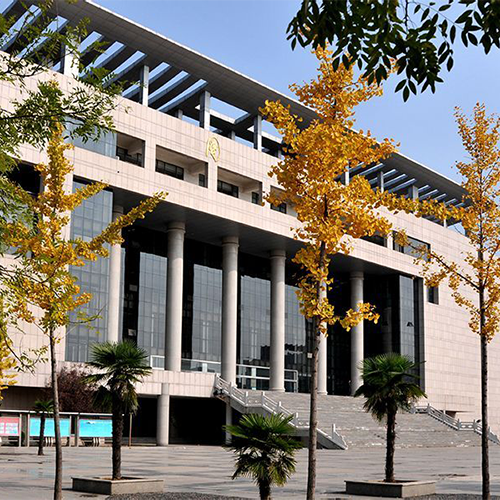 我的大學(xué)