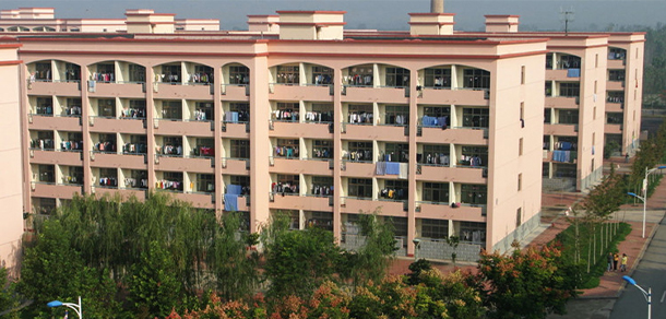 我的大學-大學志